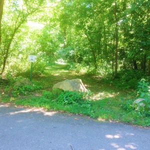 Photo Jul 03, 3 57 07 PM