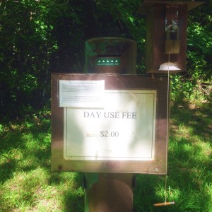 Photo Jul 03, 3 57 23 PM