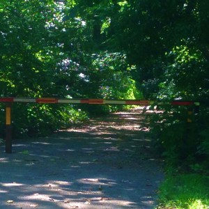 Photo Jul 03, 3 58 29 PM