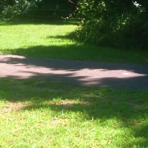 Photo Jul 03, 4 00 26 PM