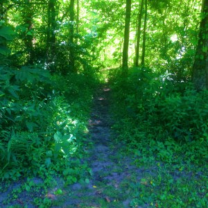 Photo Jul 03, 4 01 17 PM