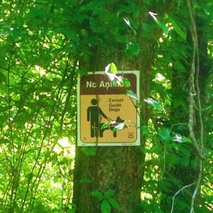 Photo Jul 03, 4 01 23 PM