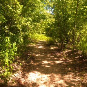 Photo Jul 03, 4 01 55 PM