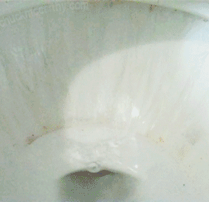 toilet flushing gif